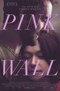 Pink Wall - Poster
