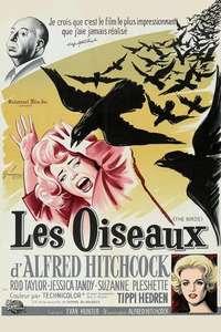The Birds - Poster