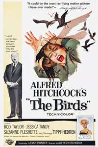 The Birds - Poster