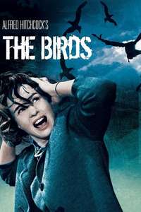 The Birds - Poster