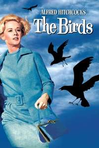 The Birds - Poster