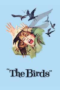 The Birds - Poster
