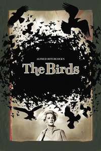 The Birds - Poster