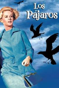 The Birds - Poster