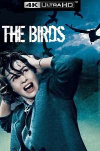 The Birds - Poster