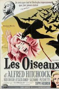 The Birds - Poster