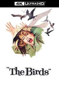 The Birds - Poster