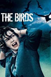 The Birds - Poster