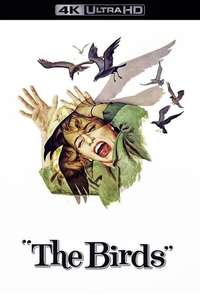The Birds - Poster