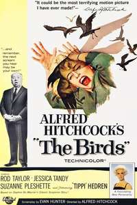 The Birds - Poster