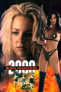 Big Sister 2000 - Poster