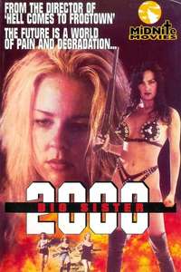 Big Sister 2000 - Poster