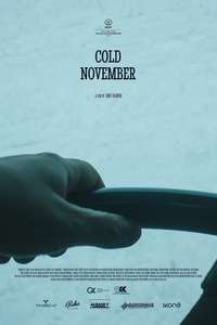 Cold November - Poster