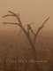 Elegy for a Hangman