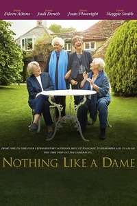 Nothing Like a Dame - Poster