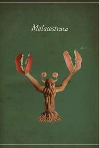 Malacostraca - Poster
