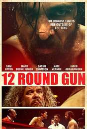 12 Round Gun