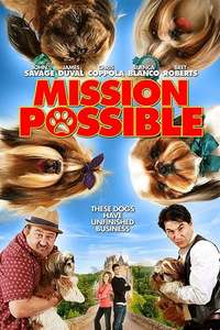 Mission Possible - Poster