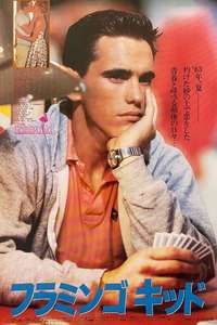 The Flamingo Kid - Poster