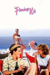 The Flamingo Kid - Poster