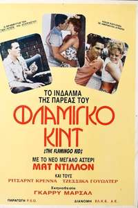 The Flamingo Kid - Poster