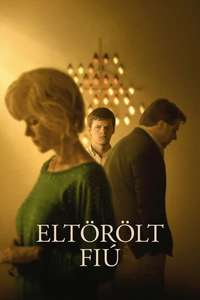 Boy Erased - Posters