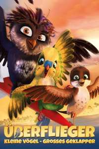 A Stork's Journey - Poster