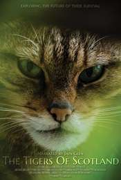 The Tigers of Scotland