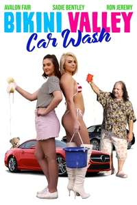 Bikini Valley Car Wash - Posters