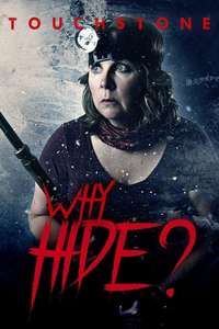 Why Hide? - Poster