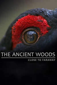 The Ancient Woods - Posters