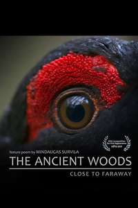 The Ancient Woods - Posters