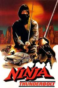 Ninja Thunderbolt - Poster