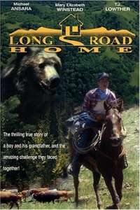 Long Road Home - Poster