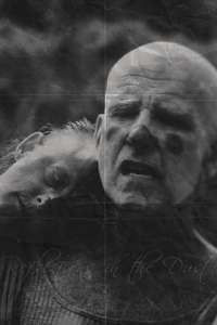Reflections in the Dust - Poster