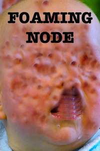 The Foaming Node - Poster