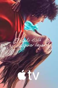 The Sky Is Everywhere - Poster