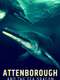 Attenborough and the Sea Dragon
