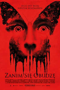 Before I Wake - Poster