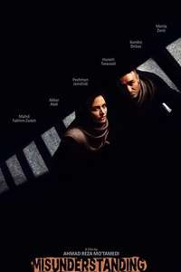 The Misunderstanding - Poster