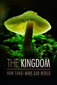 The Kingdom: How Fungi Made Our World - Posters