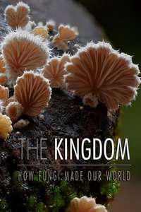 The Kingdom: How Fungi Made Our World - Posters