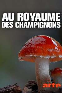 The Kingdom: How Fungi Made Our World - Posters