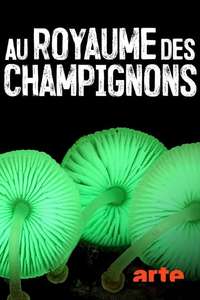 The Kingdom: How Fungi Made Our World - Posters