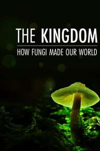 The Kingdom: How Fungi Made Our World - Posters