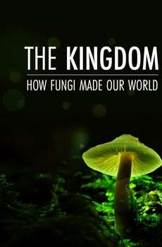 The Kingdom: How Fungi Made Our World