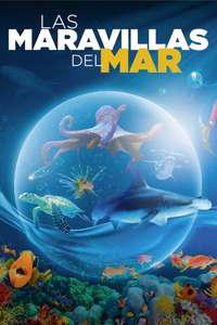 Wonders of the Sea 3D - Posters