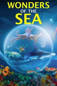Wonders of the Sea 3D - Posters