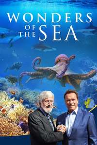Wonders of the Sea 3D - Posters