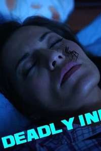 Home Invaders - Poster